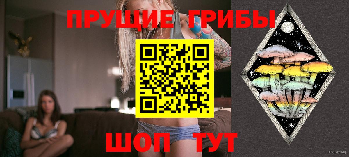 Бузулук  Псилоцибиновые грибы ЛСД  Вход с VPN 